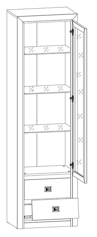 Шкаф  Коен Сосна REG1W2S