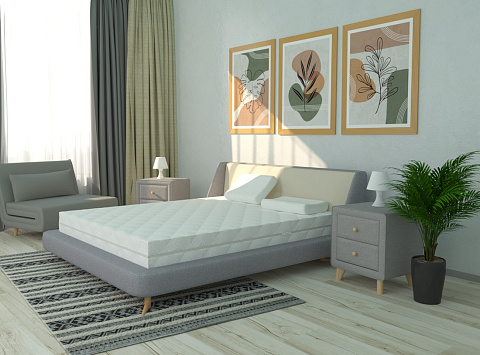 Идеал Тип 6а (Aloe vera)